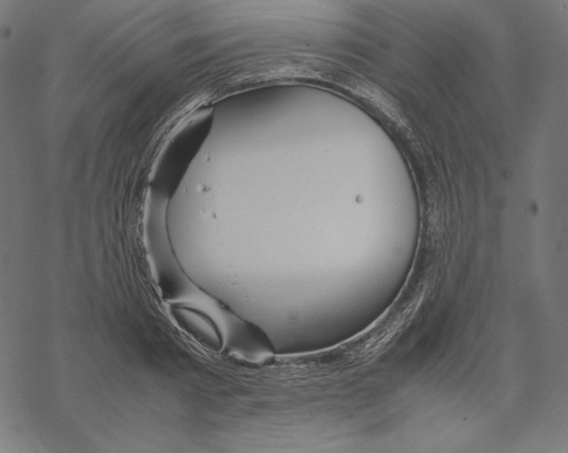 X0000067850793200605111707