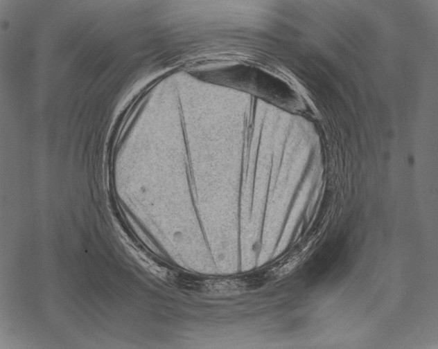 X0000067850795200605111707