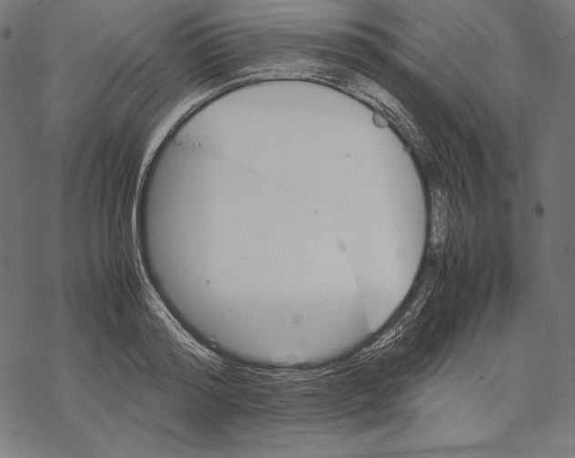 X0000067850796200605111707