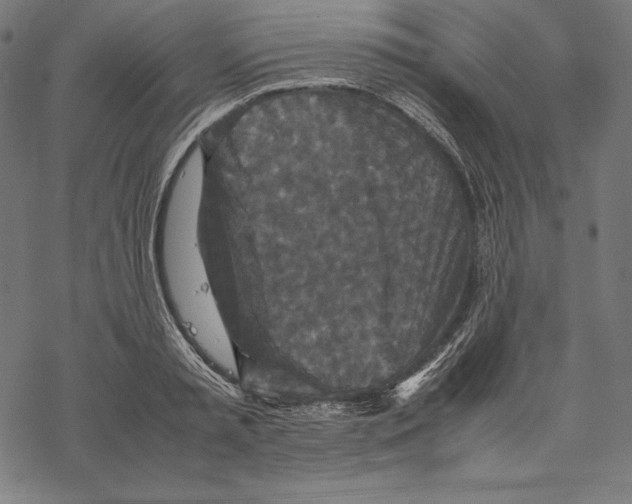 X0000067850797200605111707