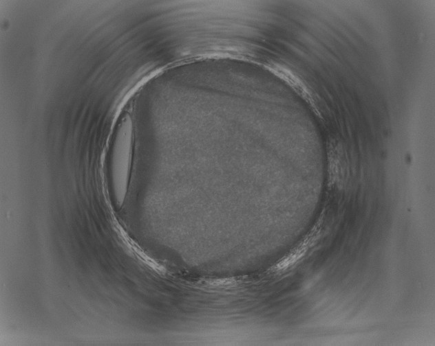 X0000067850798200605111707