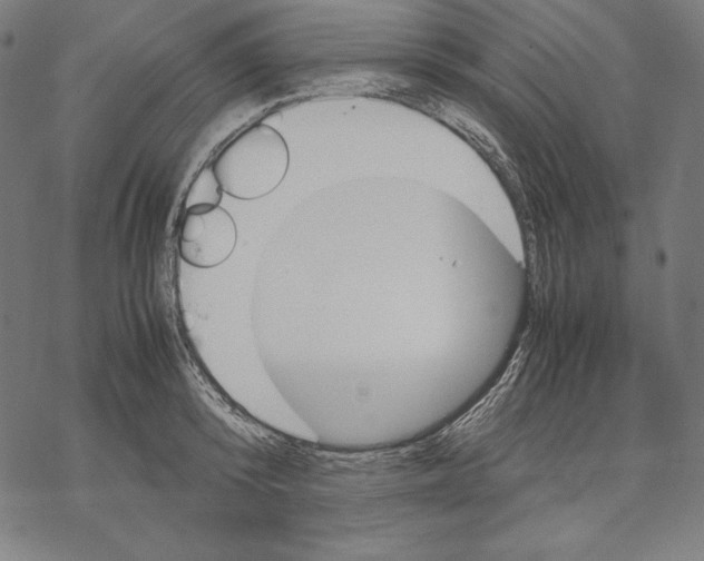 X0000067850800200605111707