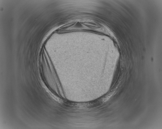 X0000067850803200605111707