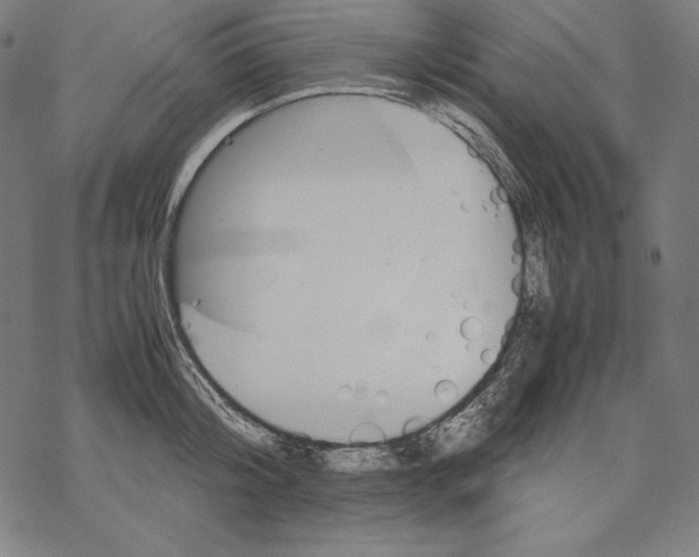 X0000067850804200605111707