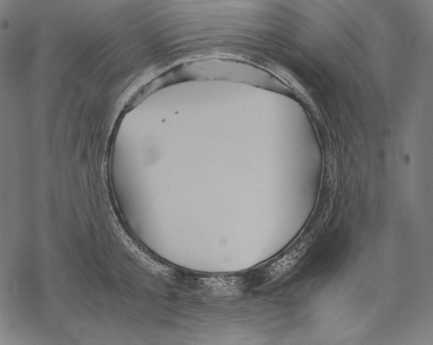 X0000067850805200605111707