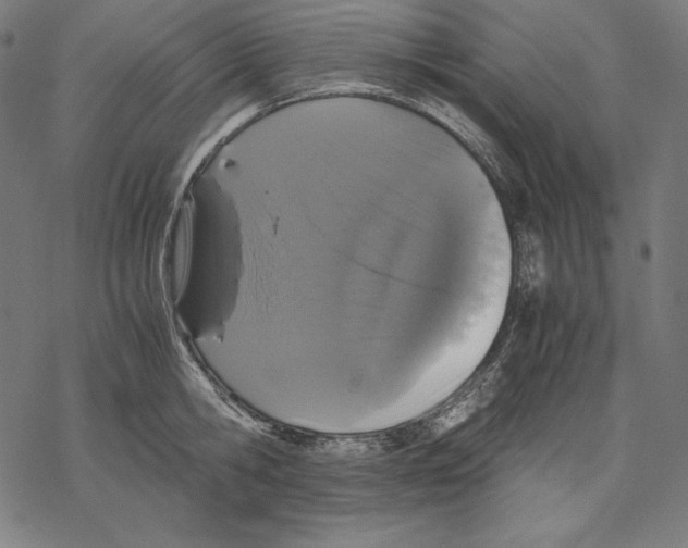 X0000067850806200605111707