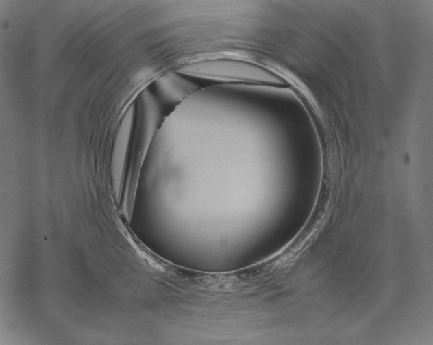 X0000067850809200605111706