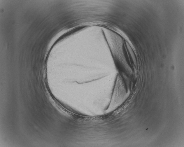 X0000067850811200605111706