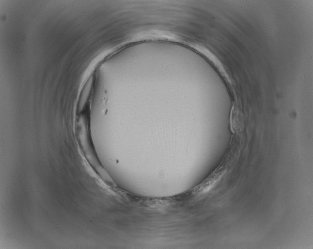 X0000067850815200605111706