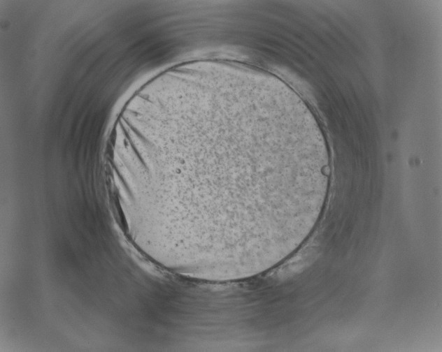 X0000067850816200605111706