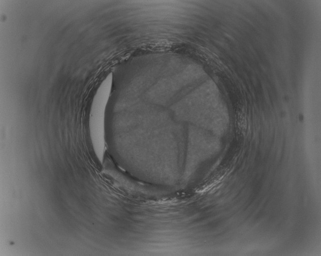 X0000067850818200605111706