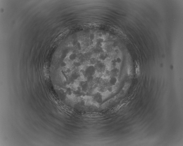 X0000067850819200605111706