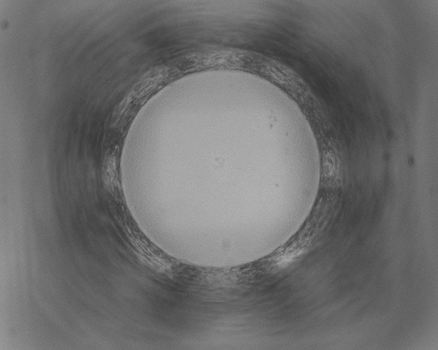 X0000067850820200605111706