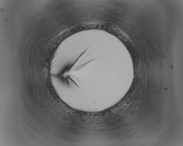 X0000067850821200605111706