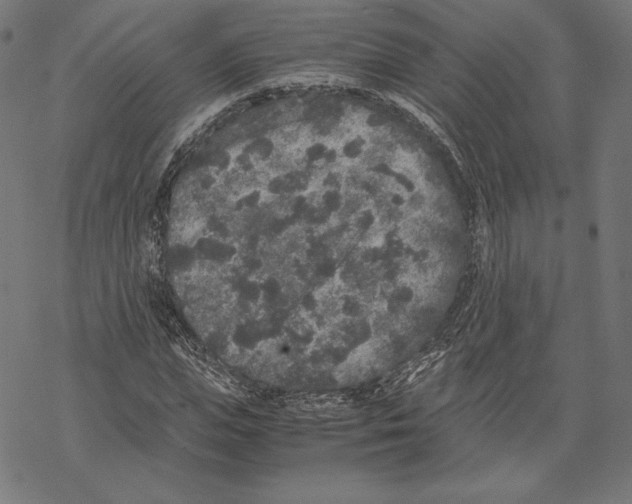 X0000067850823200605111706