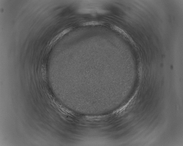 X0000067850825200605111706