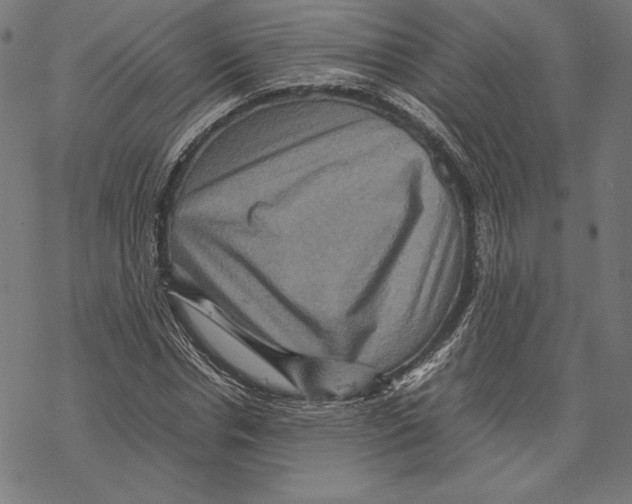 X0000067850826200605111706