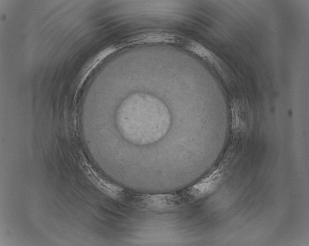 X0000067850828200605111706