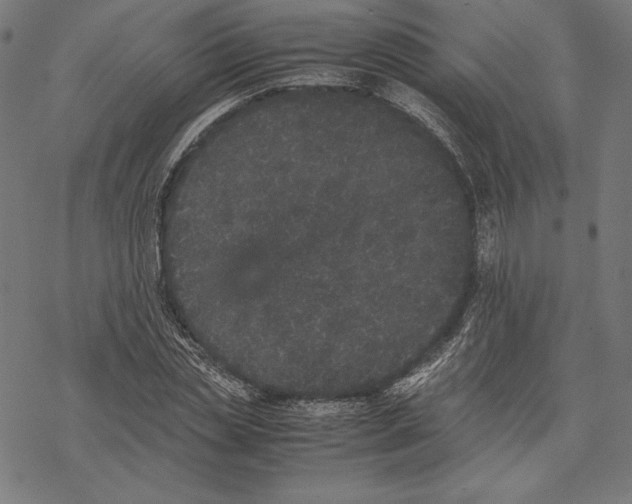 X0000067850829200605111706