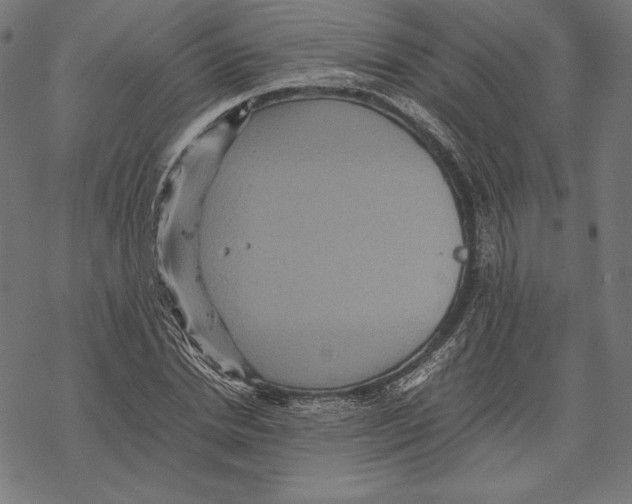 X0000067850830200605111706