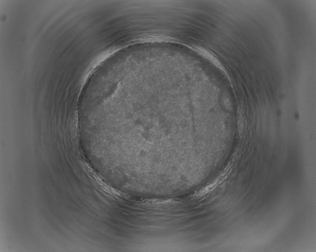 X0000067850831200605111706