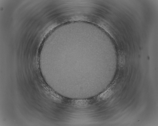 X0000067850832200605111706