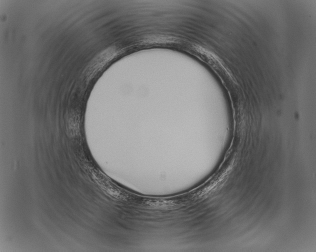 X0000067850833200605111706