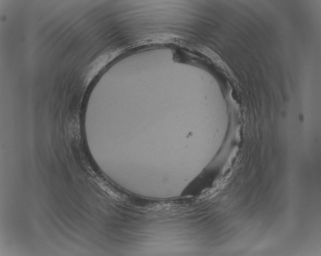 X0000067850834200605111706