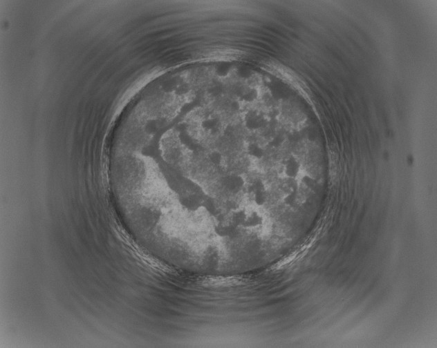 X0000067850835200605111706