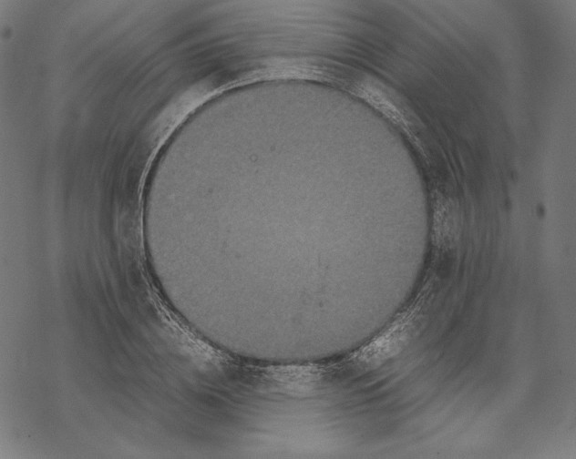 X0000067850836200605111706