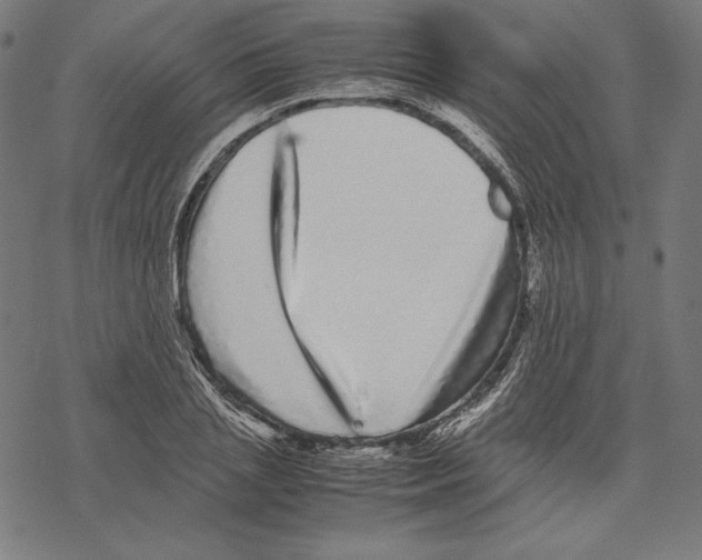 X0000067850837200605111706