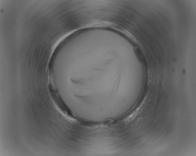 X0000067850838200605111706