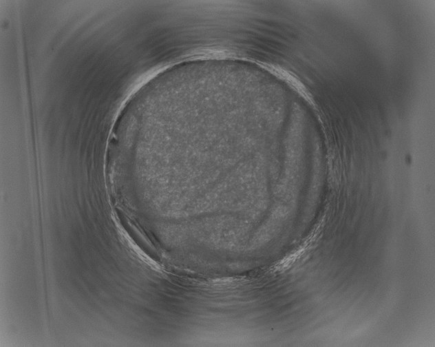 X0000067850839200605111706