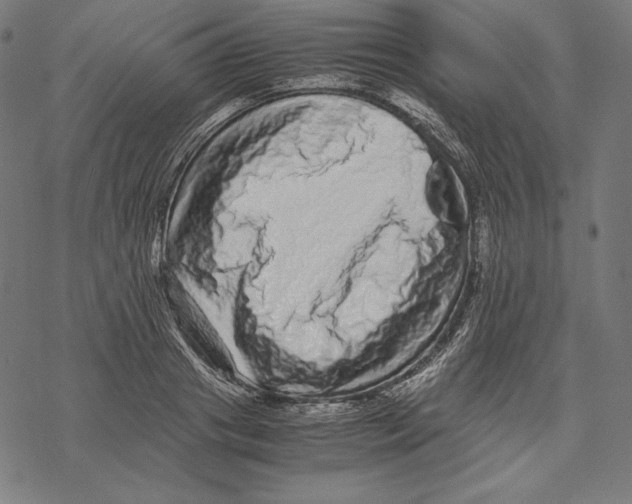 X0000067850841200605111706