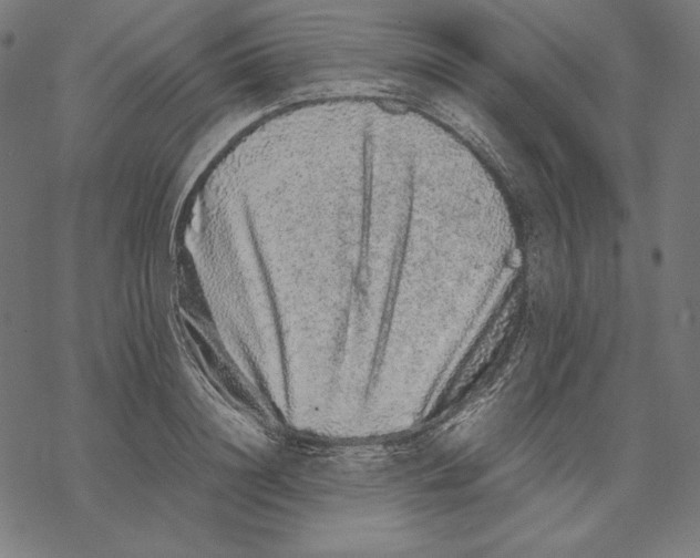 X0000067850844200605111706