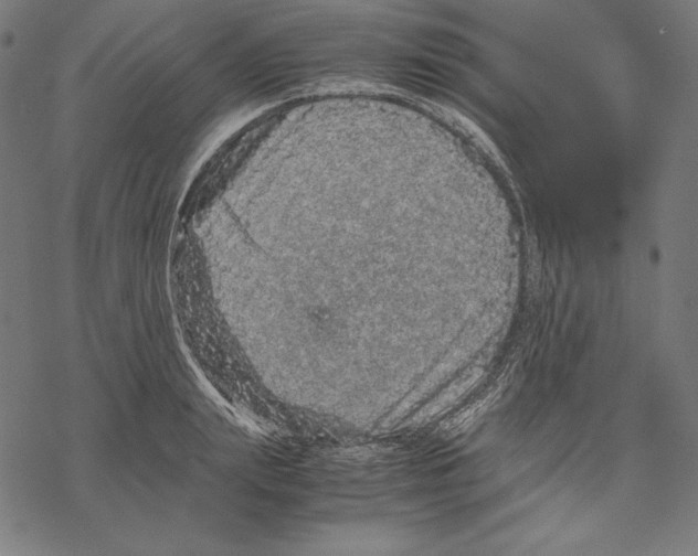 X0000067850847200605111706