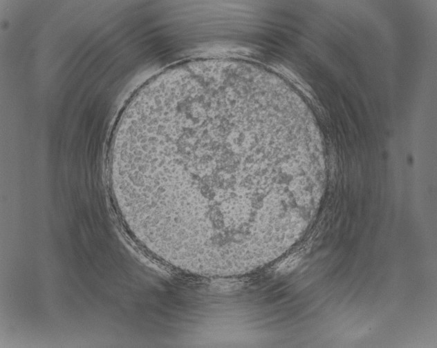 X0000067850848200605111706