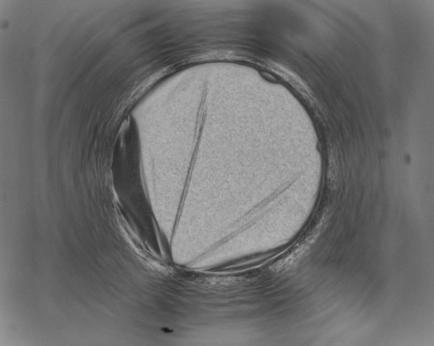 X0000067850849200605111706