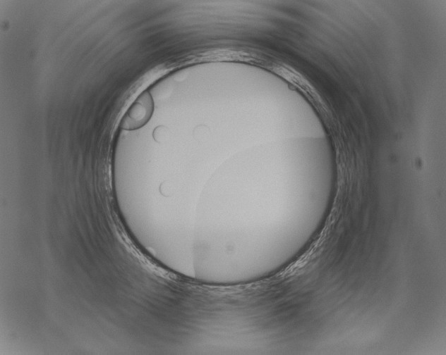 X0000067850852200605111706