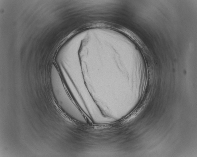 X0000067850857200605111706