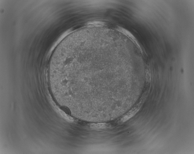 X0000067850859200605111706