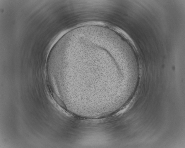 X0000067850860200605111706