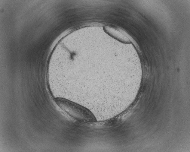 X0000067850861200605111706