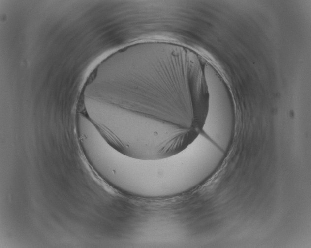 X0000067850862200605111706