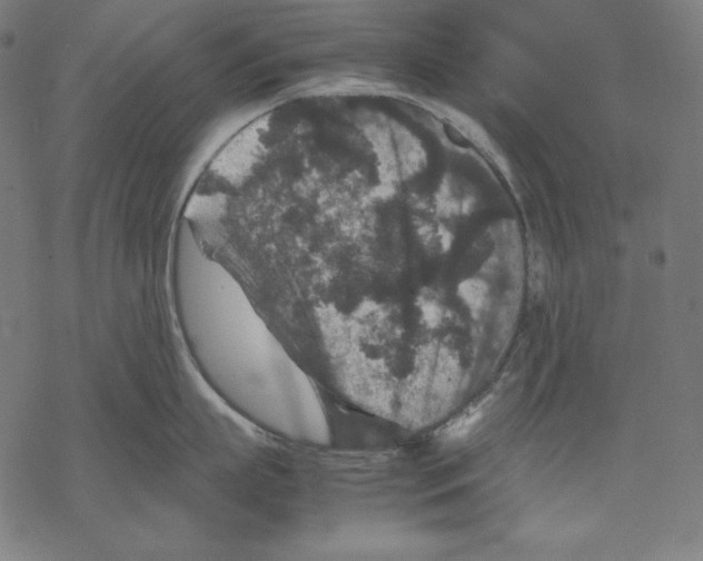 X0000067850863200605111706