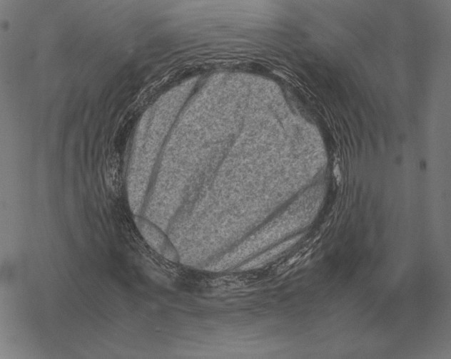 X0000067850867200605111706