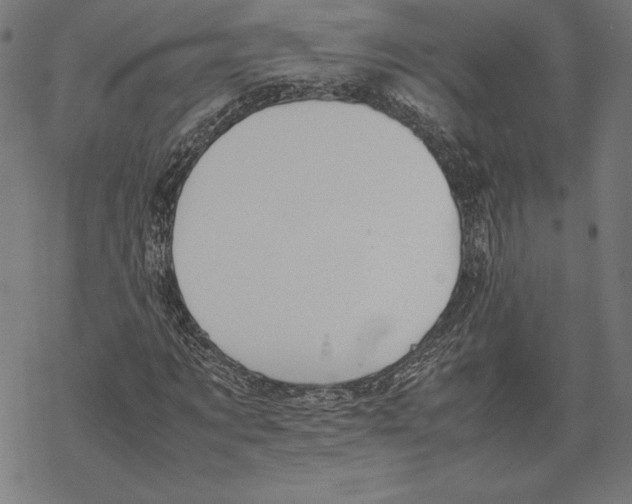 X0000067850869200605111705