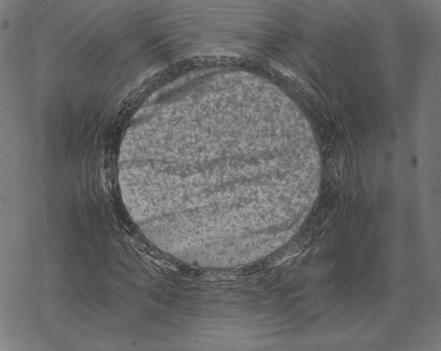 X0000067850870200605111705