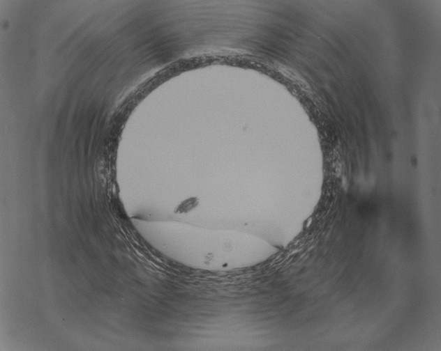 X0000067850872200605111705