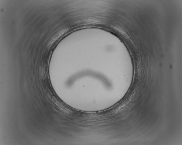 X0000067850873200605111705